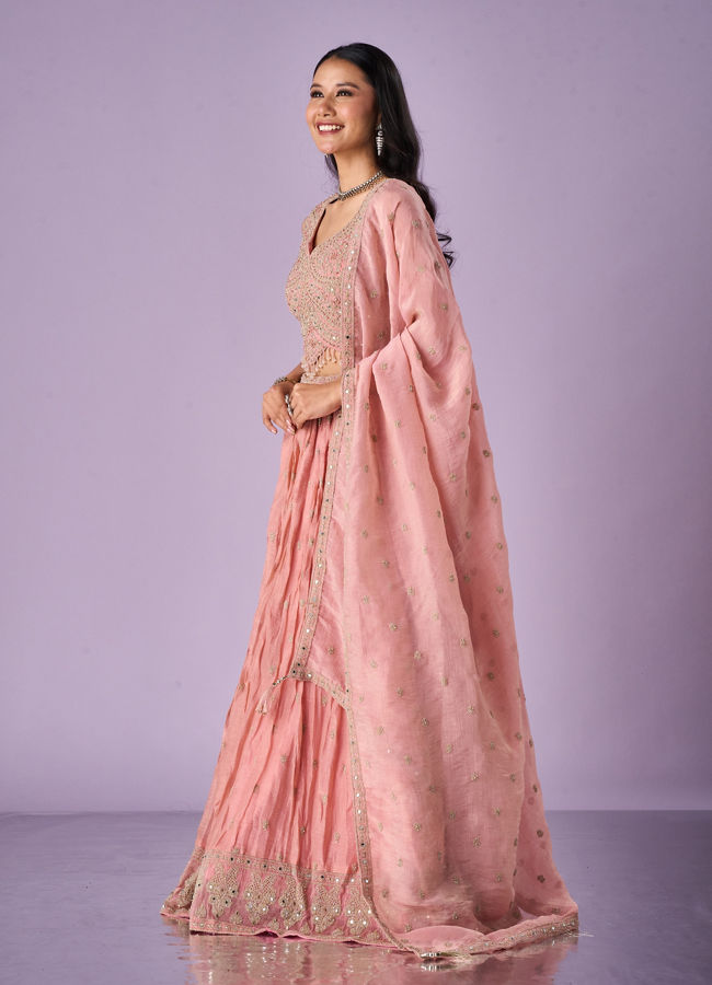 Mohey Women Pink Organza Lehenga with Hand Embroidery