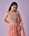 Mohey Women Pink Organza Lehenga with Hand Embroidery