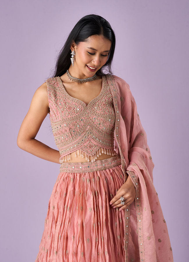 Mohey Women Pink Organza Lehenga with Hand Embroidery
