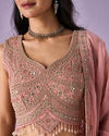 Mohey Women Pink Organza Lehenga with Hand Embroidery