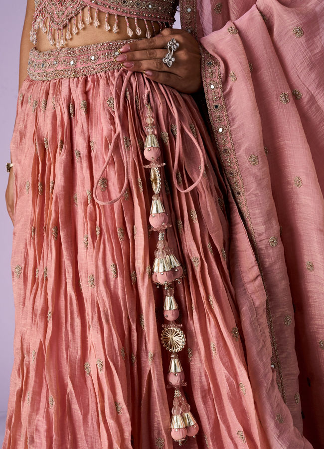 Mohey Women Pink Organza Lehenga with Hand Embroidery