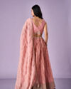Mohey Women Pink Organza Lehenga with Hand Embroidery