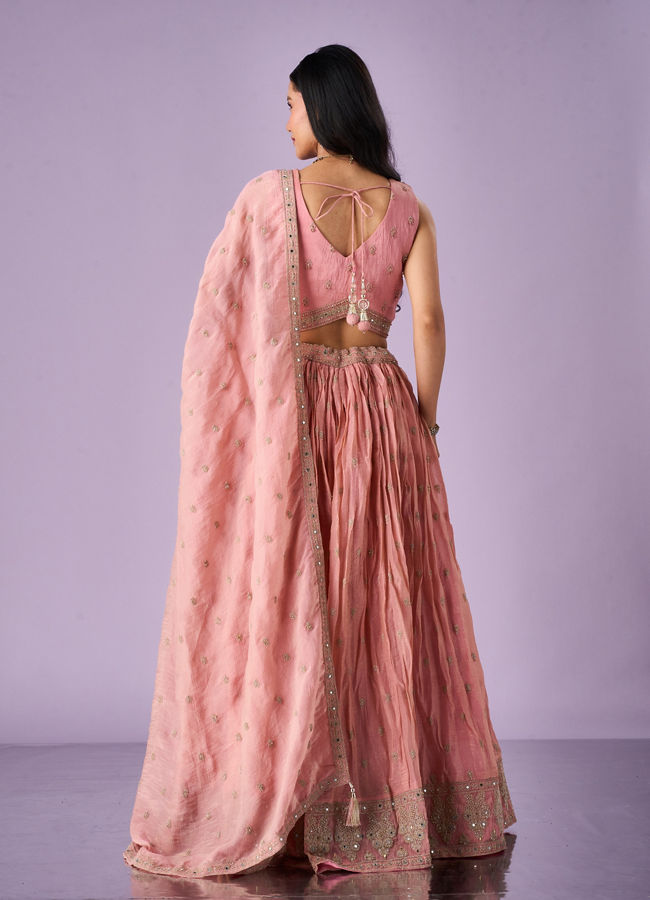Mohey Women Pink Organza Lehenga with Hand Embroidery