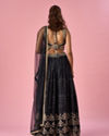 Mohey Women Black Chinon Lehenga with Hand Embroidery