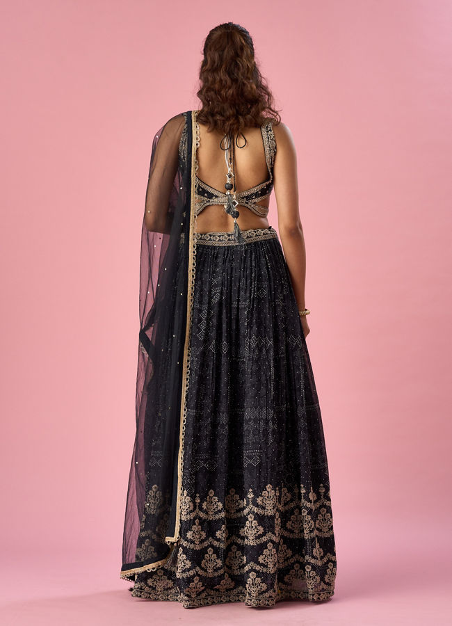 Mohey Women Black Chinon Lehenga with Hand Embroidery