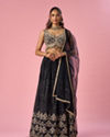 Mohey Women Black Chinon Lehenga with Hand Embroidery