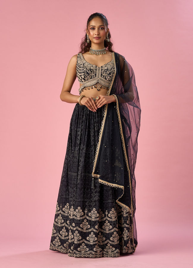 Mohey Women Black Chinon Lehenga with Hand Embroidery