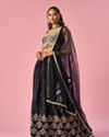 Mohey Women Black Chinon Lehenga with Hand Embroidery
