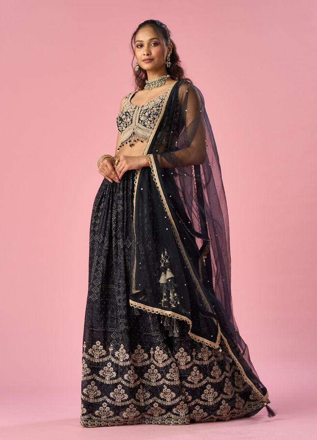 Mohey Women Black Chinon Lehenga with Hand Embroidery