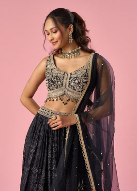 Mohey Women Black Chinon Lehenga with Hand Embroidery
