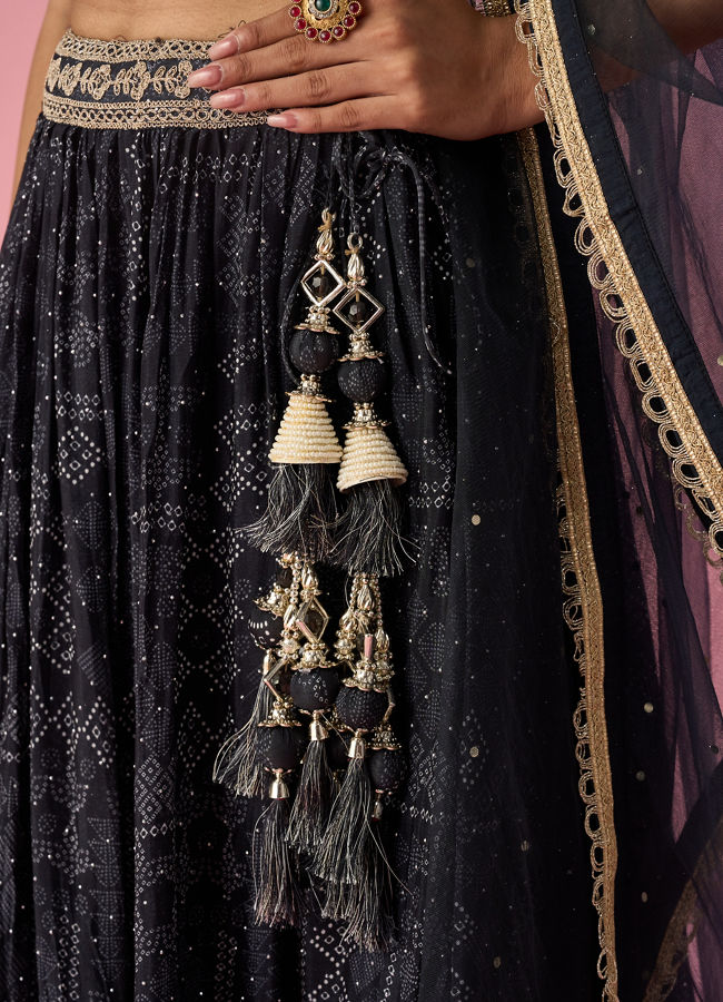 Mohey Women Black Chinon Lehenga with Hand Embroidery