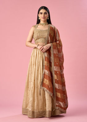 Mohey Women Beige Chinon Lehenga with Hand Embroidery