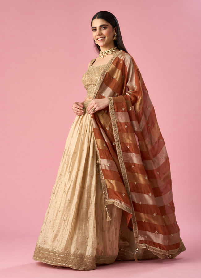 Mohey Women Beige Chinon Lehenga with Hand Embroidery