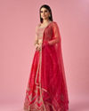 Mohey Women Pink Chinon Lehenga with Mirror Work