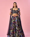 Mohey Women Indigo Blue Organza Lehenga with Hand Embroidery