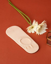 Manyavar Men Beige Elegance Knitted Socks