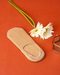 Manyavar Men Mehndi Green Low Cut Ankle Socks