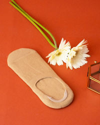 Manyavar Men Mehndi Green Low Cut Ankle Socks