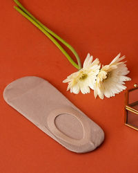 Manyavar Men Fawn Knitted Festive Socks