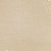 Elegant Cream Kurta Churidar