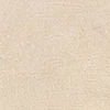 Beige Embroidered Tissue Kurta with Veshti Dhoti & Dupatta Set