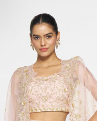 Twamev Women Pink Organza Magic Indo Western