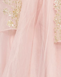 Twamev Women Pink Organza Magic Indo Western