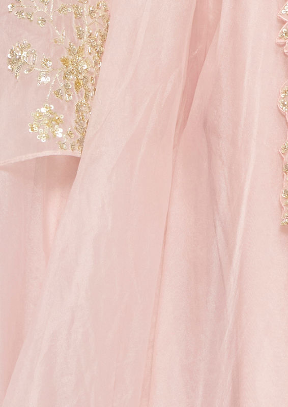 Twamev Women Pink Organza Magic Indo Western