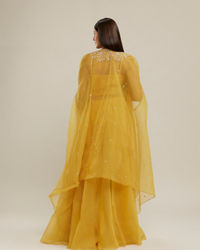 Twamev Women Sunflower Symphony Indo Western