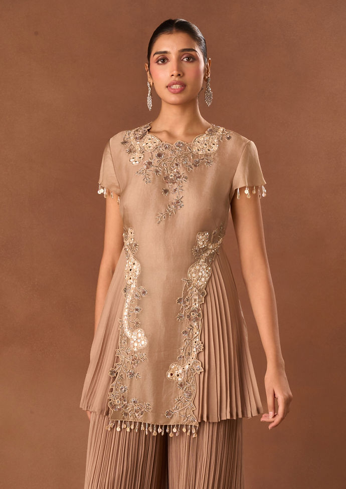 Twamev Women Fawn Art Silk Indo Western Top with Embroidery