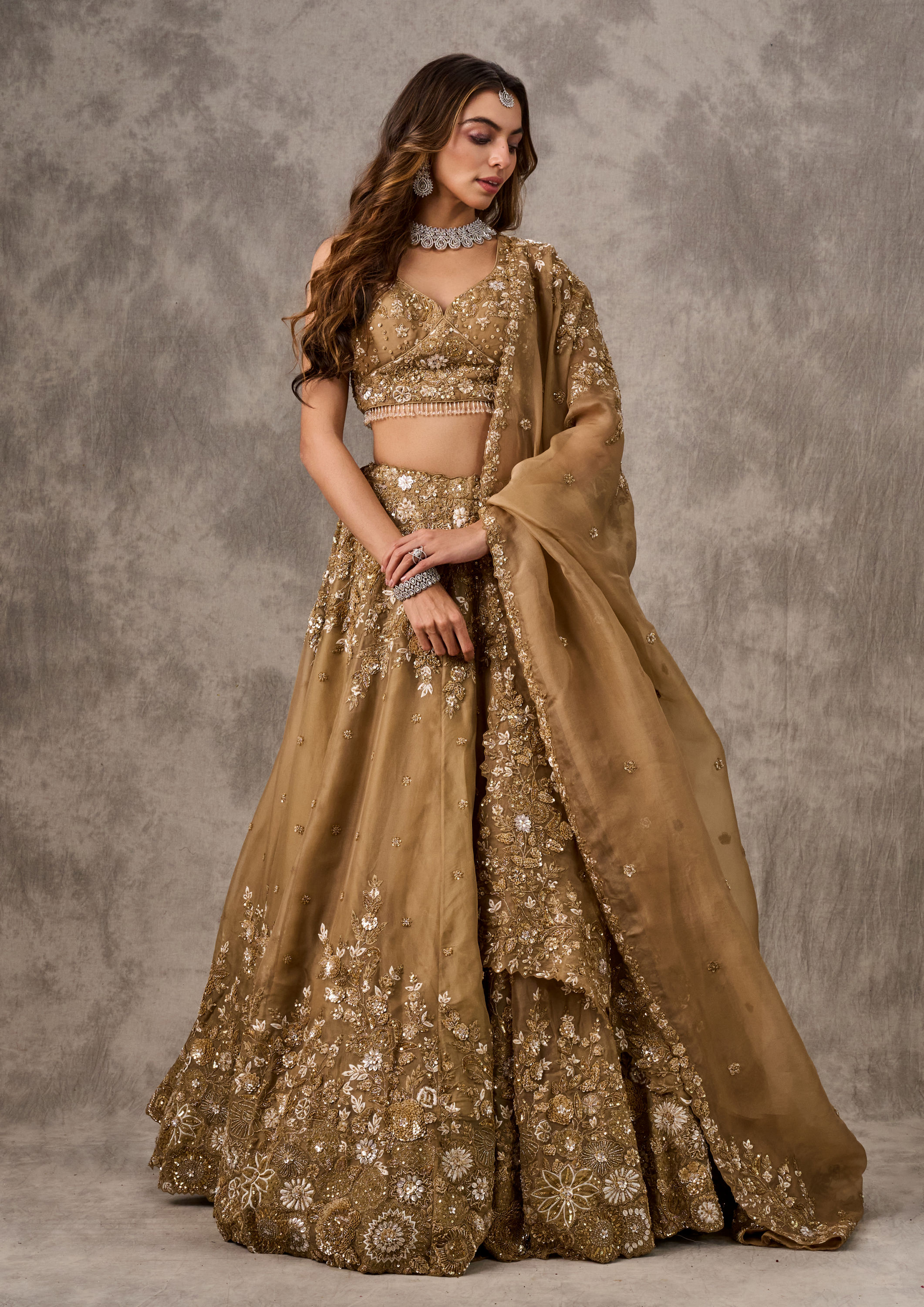 Twamev Women Fawn Extravaganza Organza Lehenga