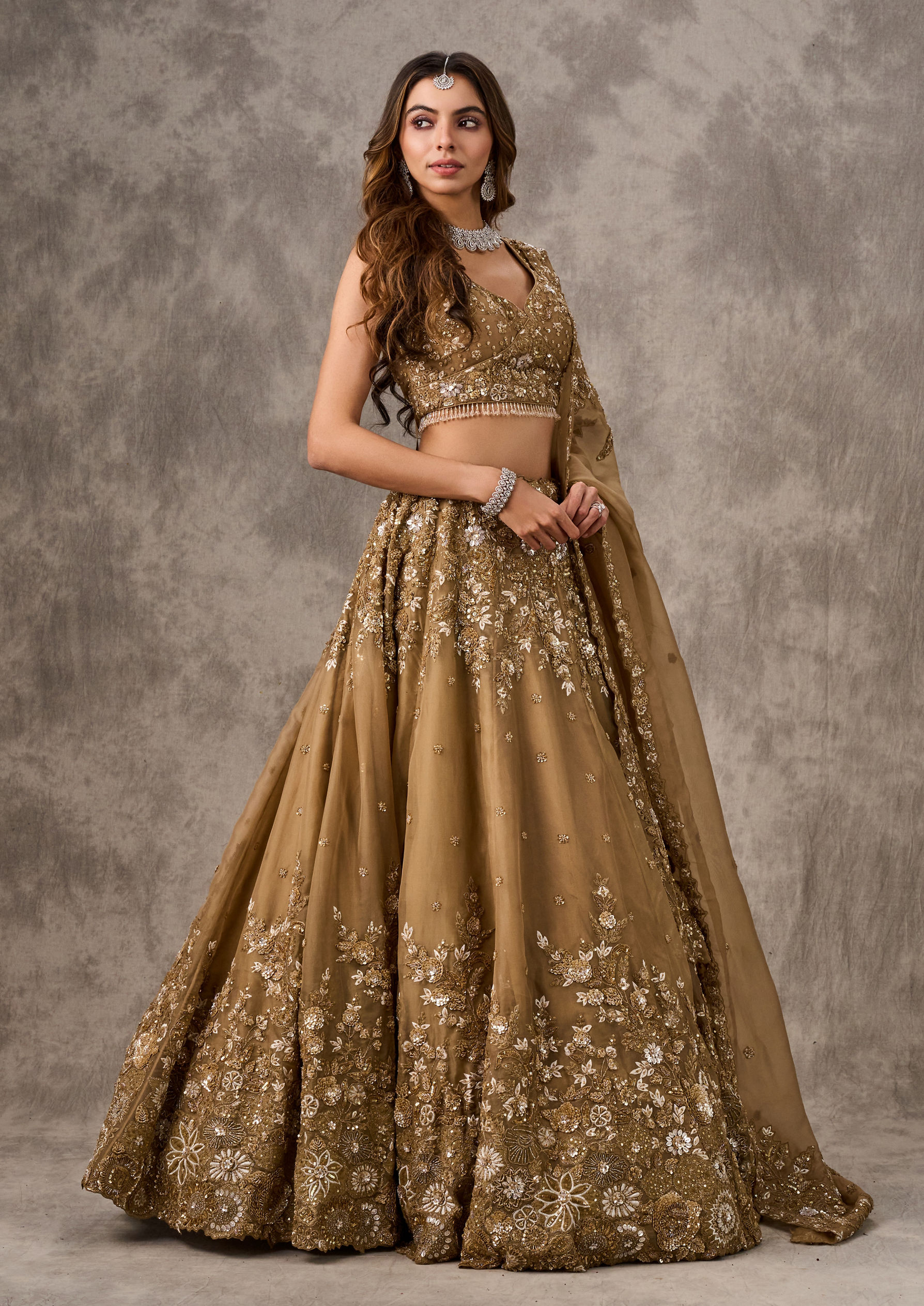 Twamev Women Fawn Extravaganza Organza Lehenga