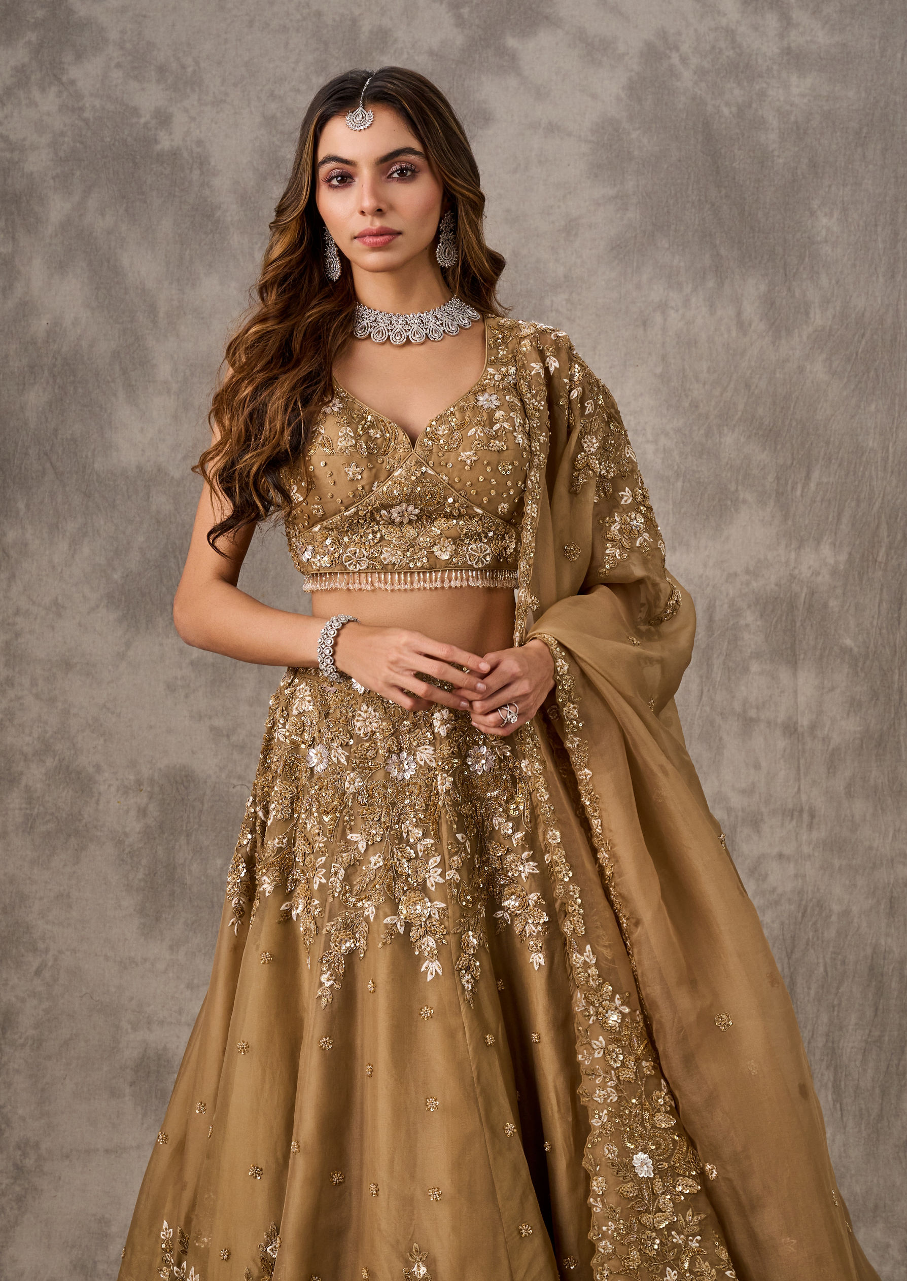 Twamev Women Fawn Extravaganza Organza Lehenga