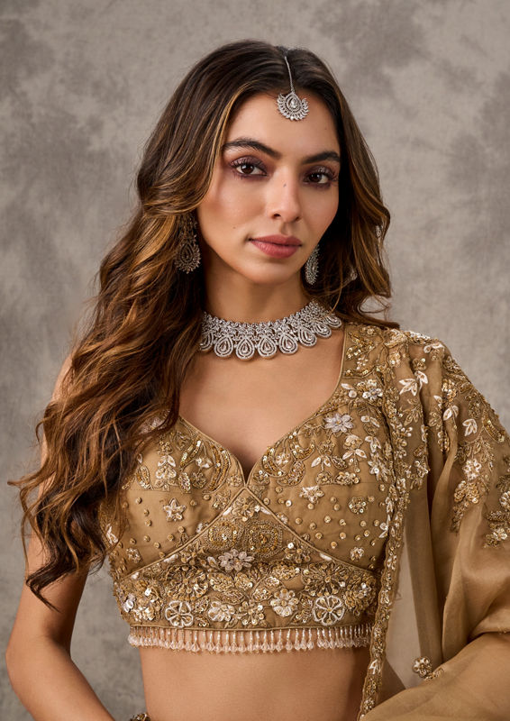 Twamev Women Fawn Extravaganza Organza Lehenga