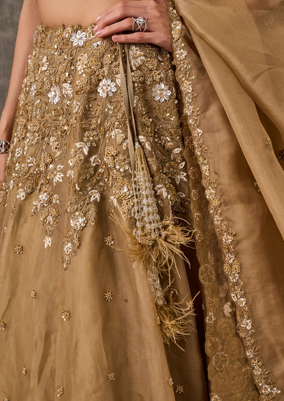 Twamev Women Fawn Extravaganza Organza Lehenga