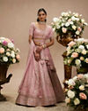 Baby Pink Zari Embroidered Lehenga with Floral And Buta Motifs And Pillow Trim Latkans