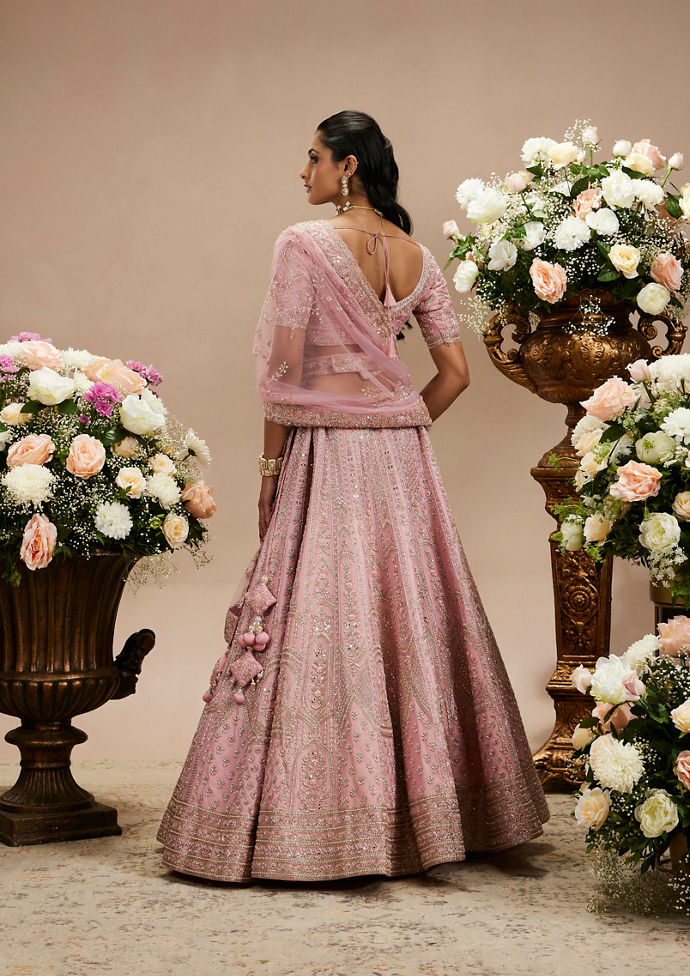Twamev Women Baby Pink Zari Embroidered Lehenga with Floral And Buta Motifs And Pillow Trim Latkans