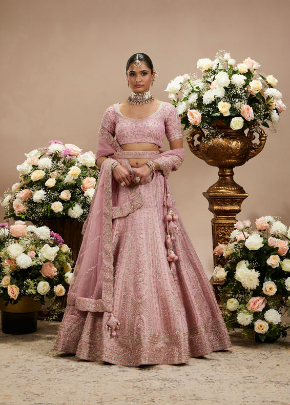 Twamev Women Dusty Pink Floral Embroidered Lehenga with Darbar, Floral Buta Motifs And Tassel Trims