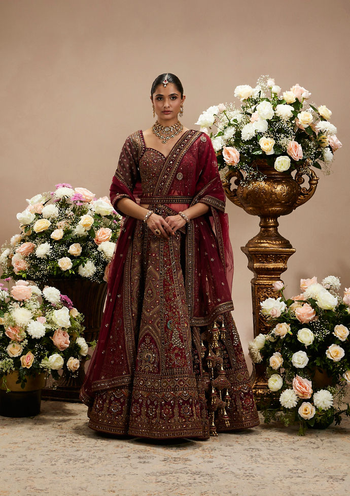Twamev Women Maroon Red Jhallar Patterned Lehenga with Peacock And Pillow Trim Latkans