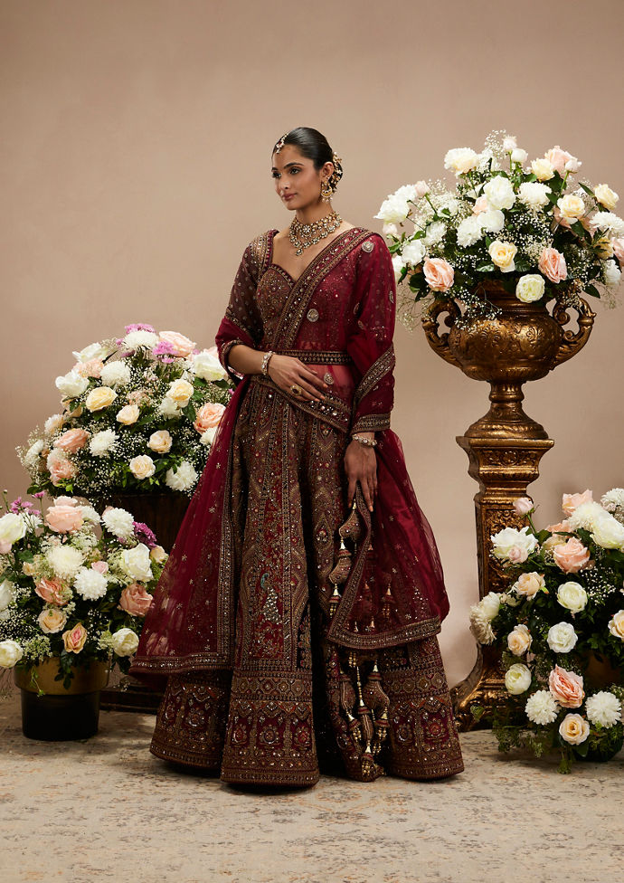Twamev Women Maroon Red Jhallar Patterned Lehenga with Peacock And Pillow Trim Latkans