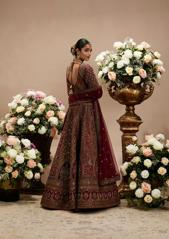 Twamev Women Maroon Red Jhallar Patterned Lehenga with Peacock And Pillow Trim Latkans
