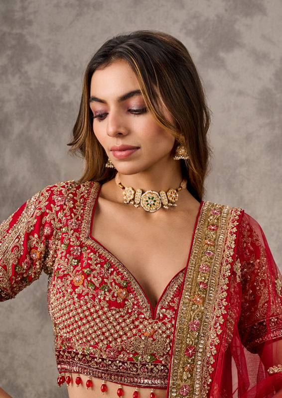 Twamev Women Regal Red Radiance Bridal Lehenga