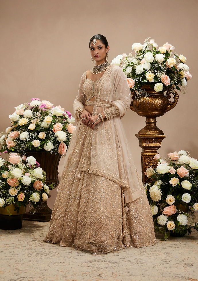 Twamev Women Honey Peach Jaal Patterned Lehenga with Floral Buta Motifs And Sequin And Stone Work