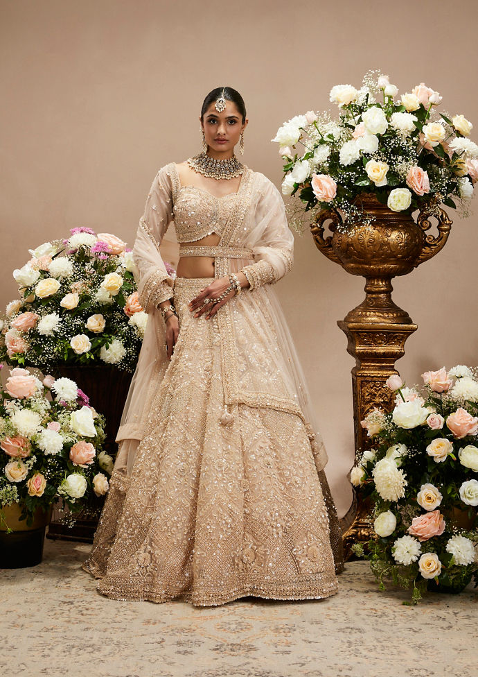 Twamev Women Honey Peach Jaal Patterned Lehenga with Floral Buta Motifs And Sequin And Stone Work