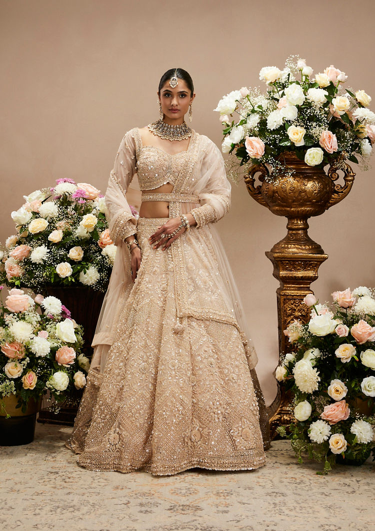 Twamev Women Honey Peach Jaal Patterned Lehenga with Floral Buta Motifs And Sequin And Stone Work