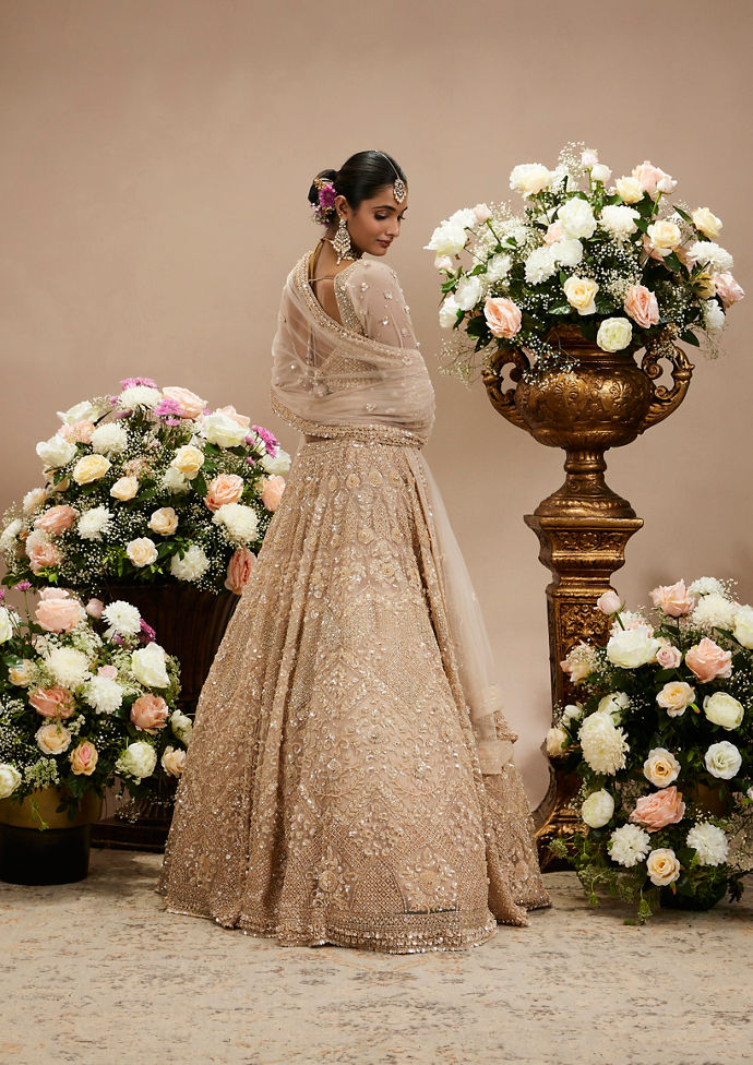 Twamev Women Honey Peach Jaal Patterned Lehenga with Floral Buta Motifs And Sequin And Stone Work