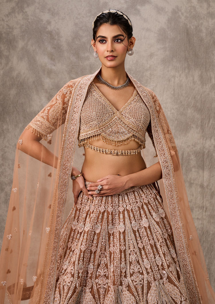 Twamev Women Fawn Net Aari Embroidered Bridal Lehenga