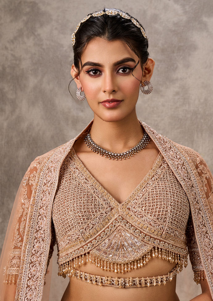 Twamev Women Fawn Net Aari Embroidered Bridal Lehenga