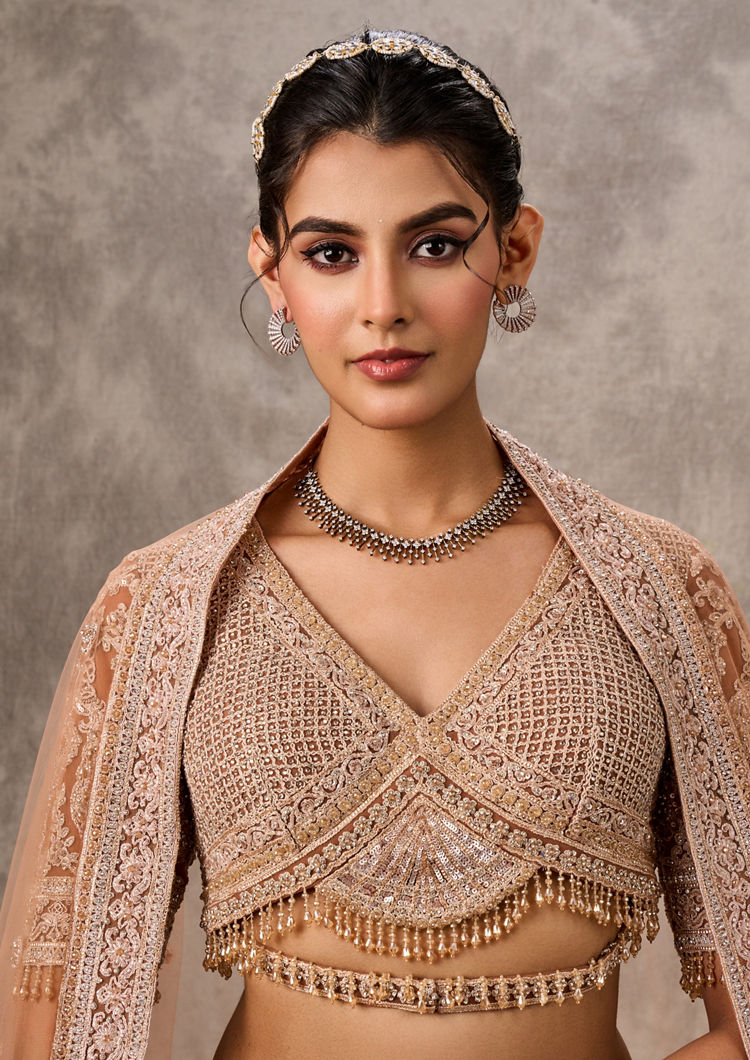 Twamev Women Fawn Net Aari Embroidered Bridal Lehenga