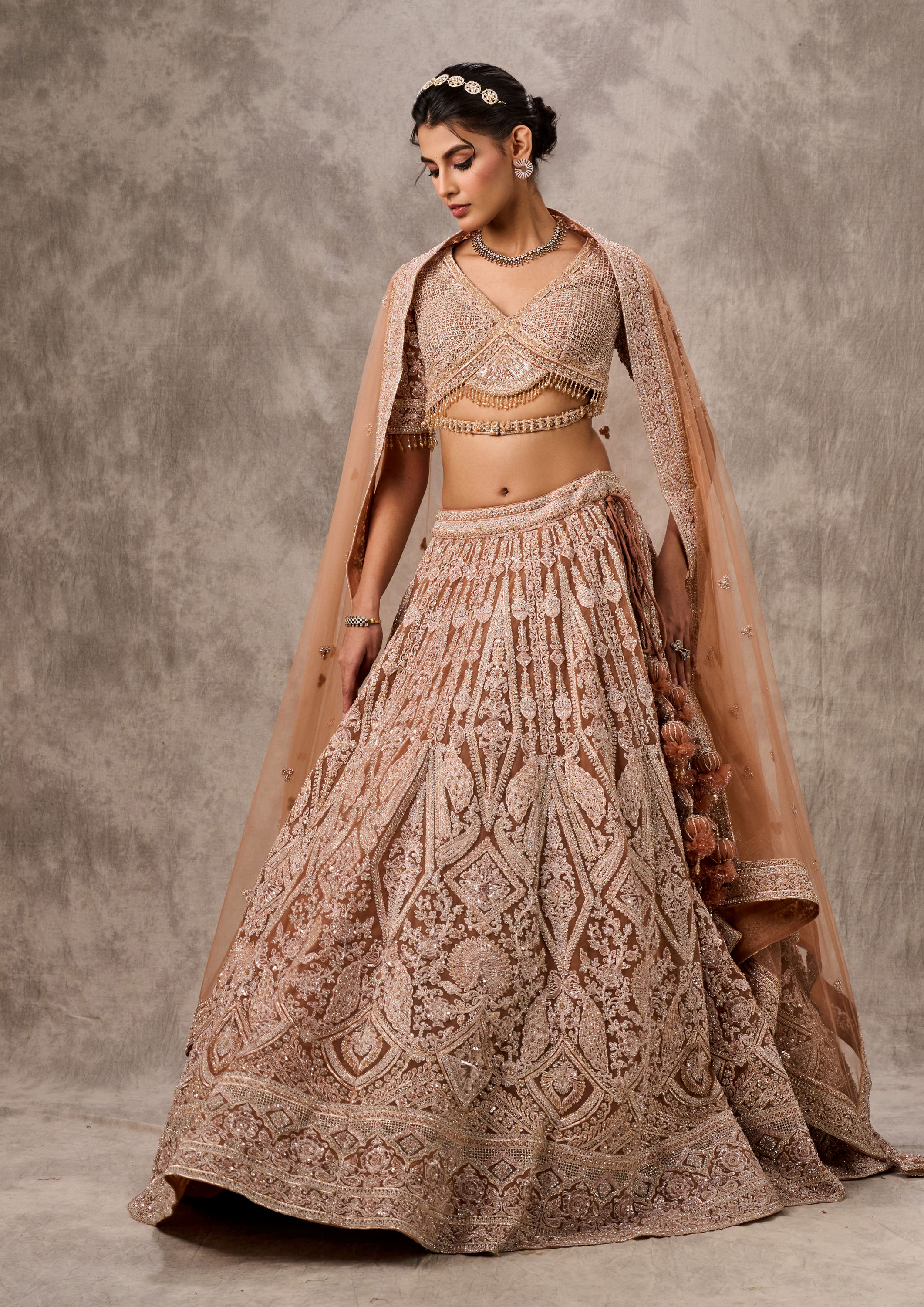 Twamev Women Fawn Net Aari Embroidered Bridal Lehenga